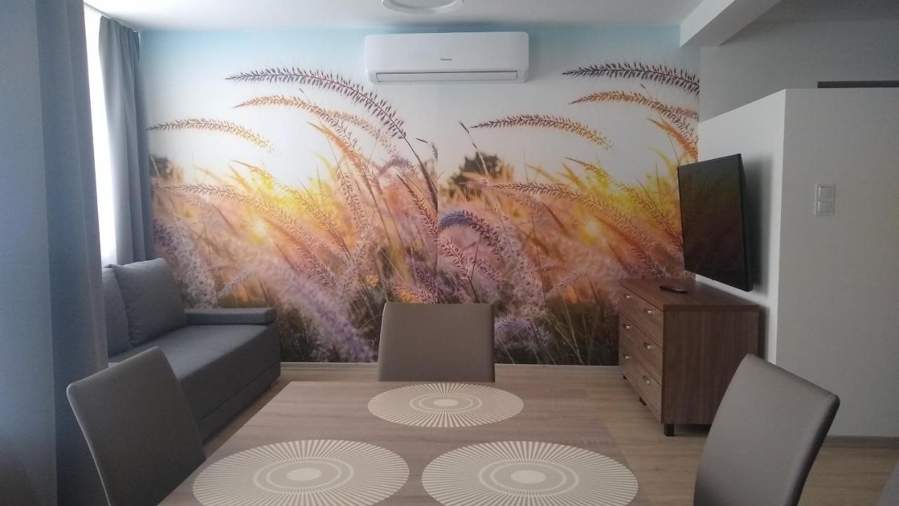 Apartamenty Lesne Zacisze クリニツァ・ズドルイ エクステリア 写真